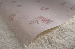 無紡布墻紙 生產(chǎn)、價格與選擇指南